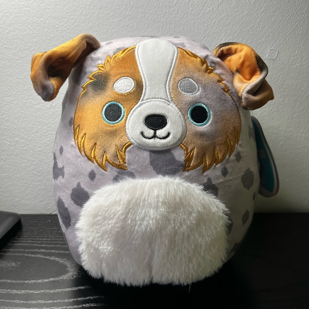 Raylor the Australian Shepherd Squishmallow